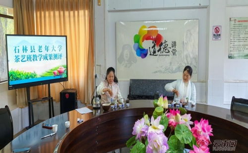 茶香氤氲展银龄风采——石林县老年大学茶艺班教学成果评测活动圆满举行